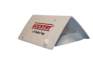 Scentry Corrugated Display