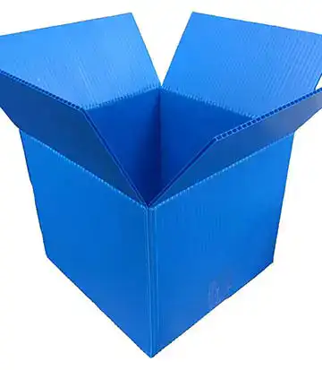 Regular Slotted Container (RSC)