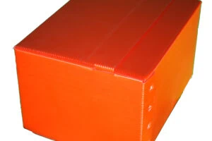 File Storage Box